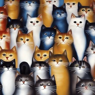 Telegram profile photo for 600 Million Cats { $600M😼}