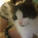 Telegram profile photo for ⋆Бусяка⋆