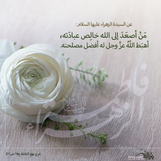 Telegram profile photo for تسجيلات دكتور سيف ظريف