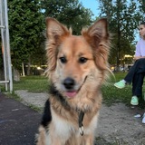 Telegram profile photo for Отзывы