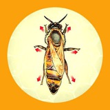Telegram profile photo for ملکه Zn