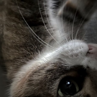 Telegram profile photo for кьшчк
