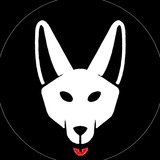 Telegram profile photo for Shakal.Today 🧐