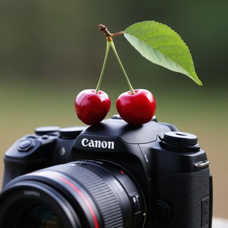 Telegram profile photo for ОБЪЕКТИВ ЯГОДКИНА