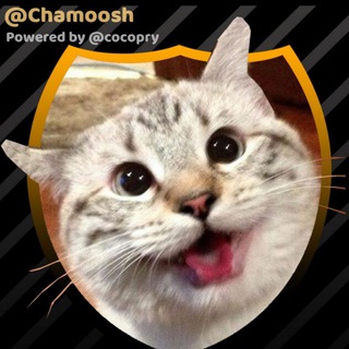 Telegram profile photo for 😻 چموش | Cute Cats