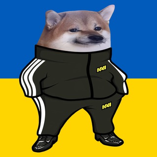 Telegram profile photo for Тарілка БОРЩУ (Inside & News🇺🇦)