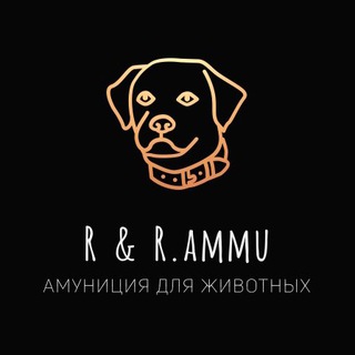 Telegram profile photo for R & R.ammu
