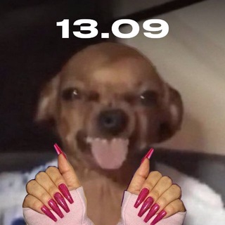 Telegram profile photo for Хмеля с похмеля