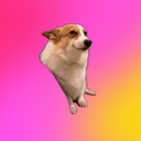 Telegram profile photo for Пиар на канале «Мастерская рилс»