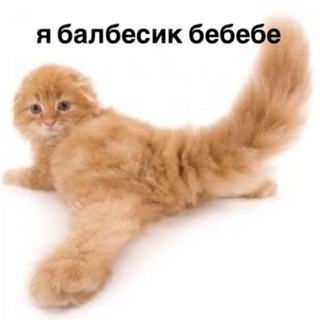 Telegram profile photo for в магазине нету крыльев