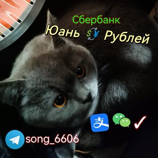 Telegram profile photo for Сун 💴 Юани Обменник • Chat