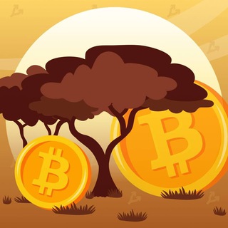 Telegram profile photo for Crypto Woods