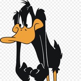 Telegram profile photo for Daffy duck calls