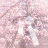 Telegram profile photo for ⋆ ˚。 ⋆୨Mirai୧⋆ ˚。 ⋆