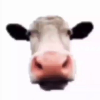 Telegram profile photo for vegan go