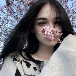 Telegram profile photo for Не реальные психи 2.0