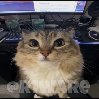 Telegram profile photo for Репа r1ware