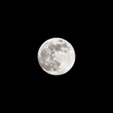 Telegram profile photo for The Moon