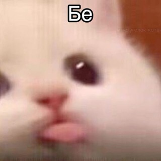 Telegram profile photo for 🦋касатя кормит🦋