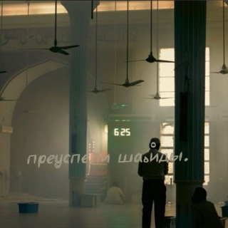 Telegram profile photo for преуспели шаهْиды.