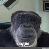 Telegram profile photo for Доходный Дом