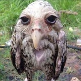 Telegram profile photo for всем привет от дяди серёжи