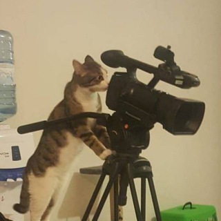 Telegram profile photo for NEWS.ru | Фото и видео