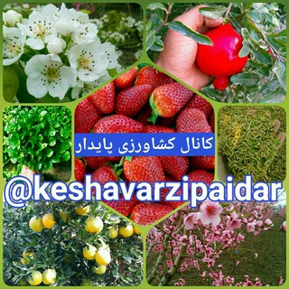 Telegram profile photo for کشاورزی پایدار.مهندس اسدنیا