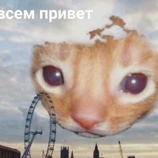 Telegram profile photo for Мемория