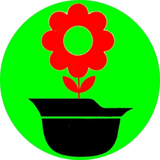 Telegram profile photo for Antimilitarismo y Noviolencia