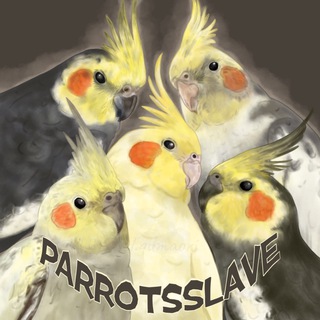 Telegram profile photo for 🌾Parrot's slave🪵