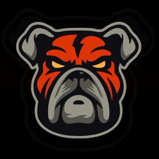 Telegram profile photo for DDOG News