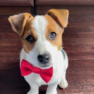 Telegram profile photo for Бэн