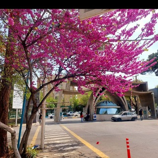 Telegram profile photo for اطلاع رسانی خوابگاه حججی