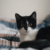 Telegram profile photo for Маленькая мисс Алиса