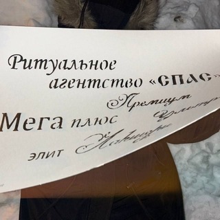 Telegram profile photo for никита е