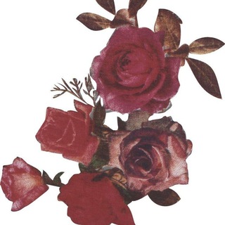 Telegram profile photo for Roses