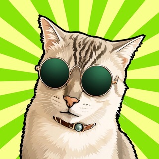 Telegram profile photo for Ready Cat Portal