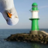 Telegram profile photo for Ю