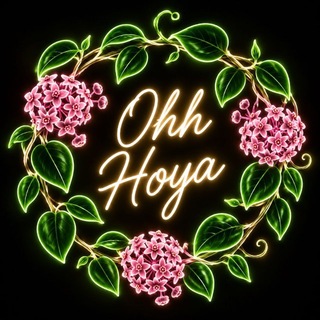 Telegram profile photo for Ohh Hoya🪴