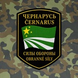 Telegram profile photo for 🟨ЧСО Černaruský život🟩