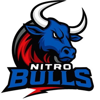 Telegram profile photo for Nitro Bulls Signals