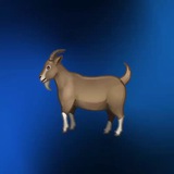 Telegram profile photo for PICKS MAN