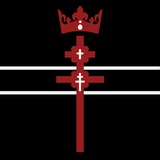 Telegram profile photo for Biełaruś Irredenta