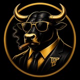 Telegram profile photo for The Top Bull - $TATE