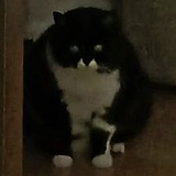 Telegram profile photo for тьма чернейшего усёра