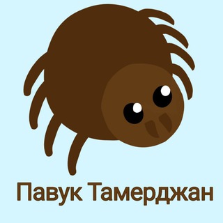 Telegram profile photo for Рест| Павук Тамерджан