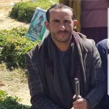 Telegram profile photo for قناة الشاعر أبوصياد الغمري