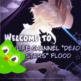Telegram profile photo for 𝙇𝙞𝙛𝙚 𝘾𝙝𝙖𝙣𝙣𝙚𝙡