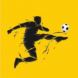 Telegram profile photo for فوتبالیتوツ